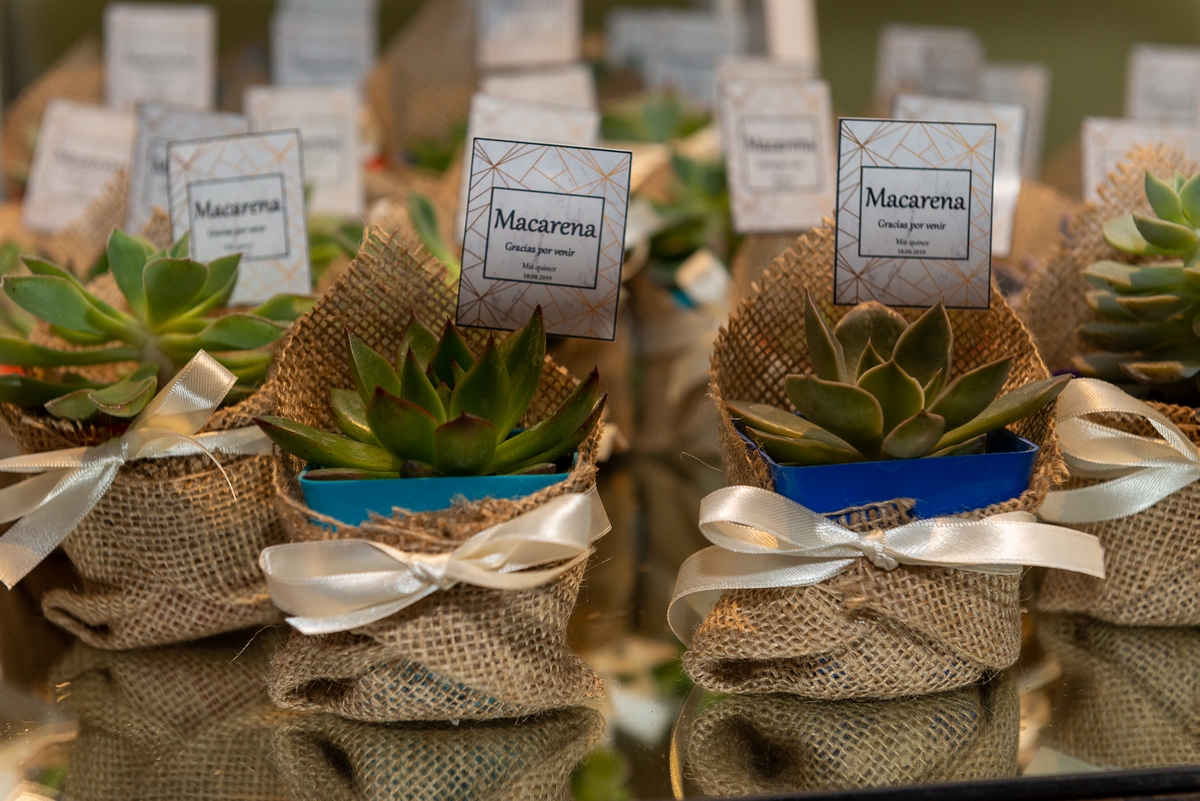 Maca Fiesta XV- Diego Delgado 1