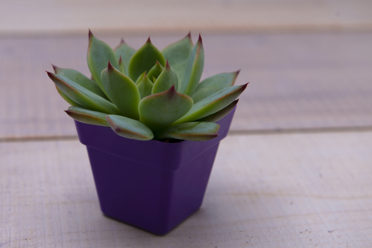 Redes Sociales- Diego Delgado 8